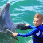 Algunas Actividades Y Entretenimientos Que Se Pueden Disfrutar Son: Parque Acuático En Bahia Principe Grand Turquesa