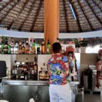 Algunos Servicios Que Ofrece El Bahia Principe Grand Turquesa All Inclusive Son: Wifi Gratuito En Todo El Establecimiento En Bahia Principe Grand Turquesa