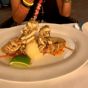 El Barceló Bávaro Beach Se Destaca Por Su Variada Oferta Gastronómica En Republica Dominicana, Punta Cana, Caribe