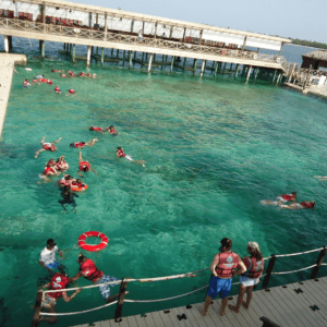 Las Actividades Acuáticas En Viva Dominicus Palace By Wyndham