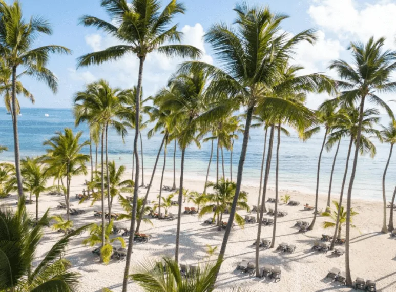 A Menos De 3 Km Del Resort En Barceló Bávaro Palace
