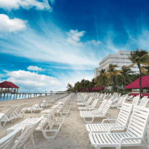 Restaurantes Y Vida Nocturna