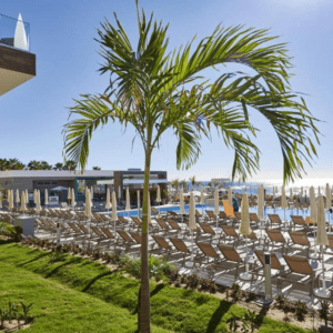 El Tamaño Del Hotel También Permite La Existencia De Diversos Restaurantes Y Bares