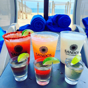 Los Comentarios Destacan La Excelente Calidad De La Comida Y La Variedad De Opciones Disponibles