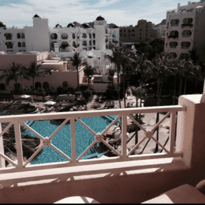 Buceo Y Excursiones En Barco Permiten Explorar Las Maravillas Marinas De Cabo San Lucas