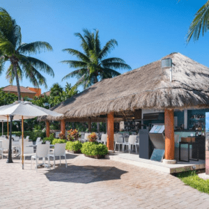 Diversión Y Relajación