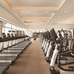 Y Deportes Como Tenis Y Golf