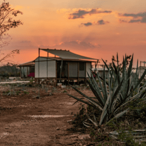 Lo Que Significa Que Cada Detalle Está Pensado Para Ofrecer Una Experiencia Personalizada Y Exclusiva En Mexico, Sotuta De Peon, Caribe