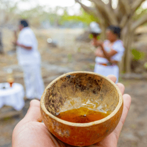 Ofreciendo Una Experiencia Culinaria Que Resalta Lo Mejor De Yucatán